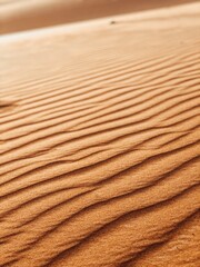 United Arab Emirates