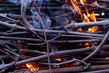 Grapevines in fire. Little thin branches burning.