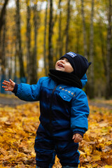 Little happy kid plays in yellow autumn leaves. Happy child in blue jacket smile.