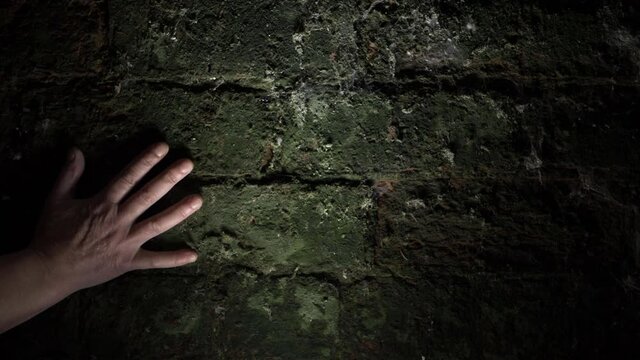 Hand dragging down grunge creepy old green wall medium shot