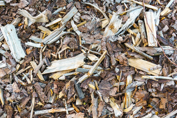 Close up of various wood chips