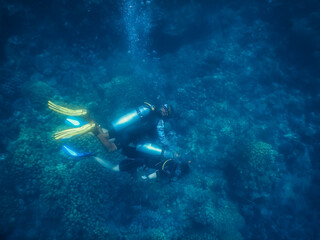 Naklejka na ściany i meble two diver at corals on the ground of the sea
