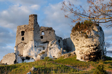 Ruins of the castle in Mirów, Poland © Dejan Gospodarek