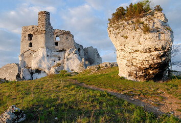 Ruins of the castle in Mirów, Poland © Dejan Gospodarek