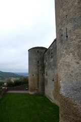 Fototapeta na wymiar tower of the castle in the country