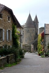 Fototapeta na wymiar old castle in burgundy 