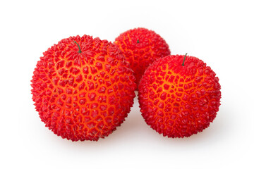 Arbutus Berry isolated in white background