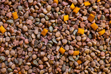 Top view of colorful dry pet food