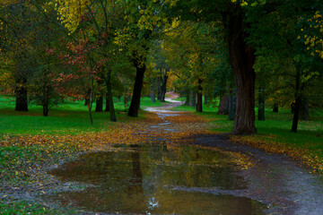 krajobraz drzewa liście park jesień kolory