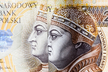 Obraz premium Polish zloty cash