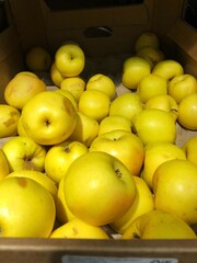 Ripe yellow apples on the market macro 