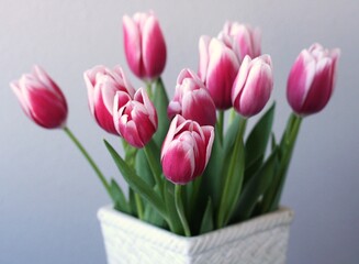 メリーウィドー