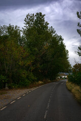 Landscape of a road between trees in autumn with a house in the background.
