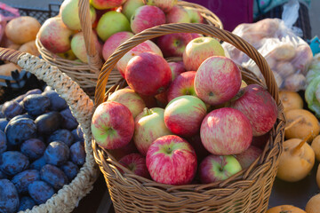 Ripe apples in a basket and plums on a rural market on an autumn sunny day