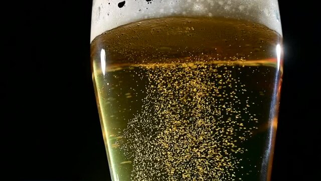 Close-up of foaming beer in a glass against a dark background