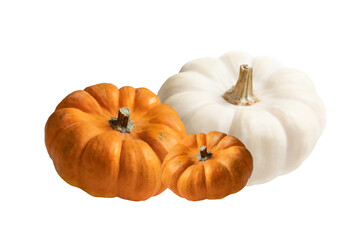 Pile of orange and white decorative pumpkins isolated on white background