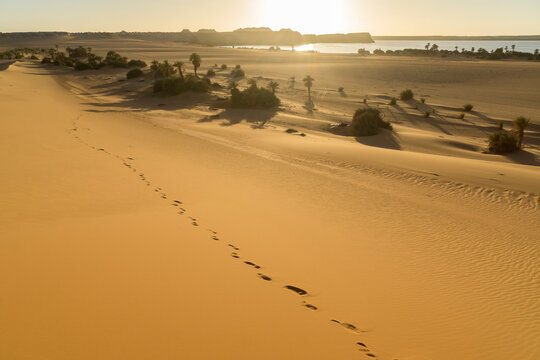 Foot prints in the desert sand, Sahara desert, Chad, Africa