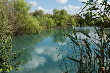 Summer landscape from the river bank