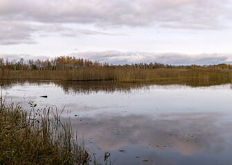autumn landscape with a beautiful lake, colorful trees on the shore of the lake in autumn colors, reeds in the foreground, autumn