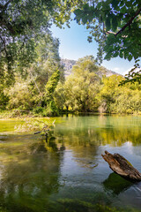 Fototapeta na wymiar A glimpse of the Tirino river, in Abruzzo, Italy. A corner of unspoiled nature. Little paradise of peace and tranquility. Clear and clean water. The wood, the trees and the rich vegetation.