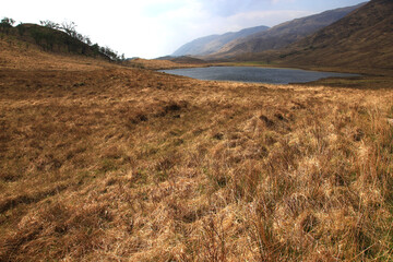 Typical view of a loch in the Morvern Peninsula, south-west of Lochaber (Highlands, Scotland)