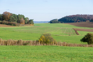 Wandern am Kalvarienberg