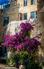 Fototapeta na wymiar old street in sunny Jerusalem 