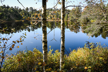 Obraz premium Autumnal view between two birches standing at the edge of the Blind Lake. A wind power station is reflected in the dark water of the lake.