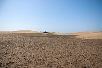 Fototapeta na wymiar Dune landscape in the south of Gran Canaria, Canary Islands, Spain