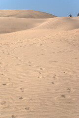 Dune landscape in the south of Gran Canaria, Canary Islands, Spain