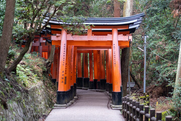 Lantern hanging at fushimi inari, Kyoto, Japan, December 19, 2018