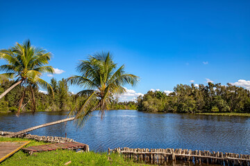 Fototapeta na wymiar Beautiful view of river and palms in Laguna del Tesoro, Cuba