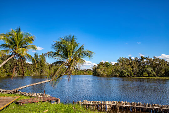 Beautiful view of river and palms in Laguna del Tesoro, Cuba