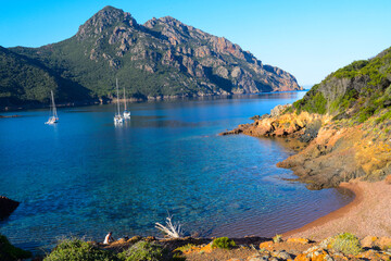 Naklejka premium Paysage de méditerranée et plage de Tuara, golfe de Girolata