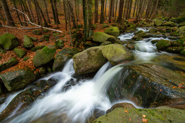 mountain river with beautiful waterfall in autumn forest