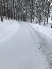 Sentiero innevato