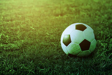 Fototapeta premium football on green grass field , soccer ball