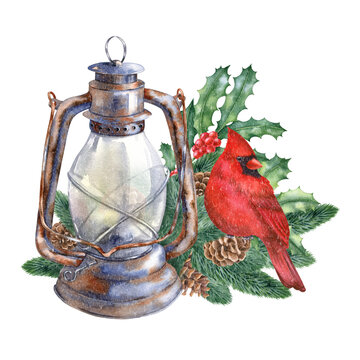 recommend clip art: Watercolor illustration with red cardinal and winter plants isolated on the white background.Hand painted watercolor clipart. Christmas composition, new year holiday.