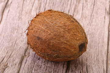 Tropical brown coconut over background