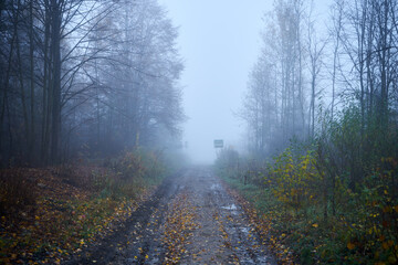 Obraz na płótnie Canvas wiejska ścieżka,ścieżka,droga,mgła