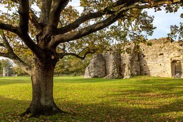 The Priory Ruins in Lewes, on an Autumn Day © lemanieh