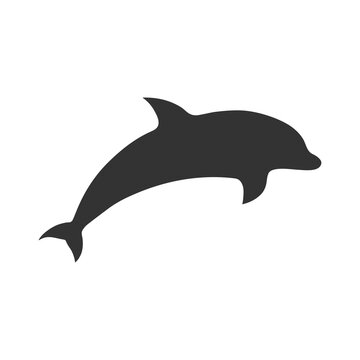 Dolphin silhouette icon. Animal shape vector illustration isolated on white