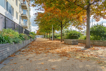Sidewalk with autumn leaves in Bristol, England