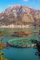 Fish farm.  Montenegro, Adriatic Sea, Kotor Bay on sunny winter day. Perast town in distance