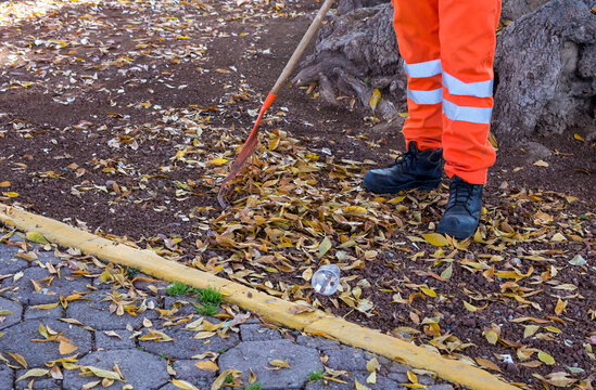 Street Cleaner Works With A Broom In The City