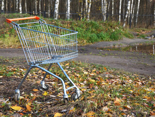 A forgotten supermarket trolley stands in the autumn park