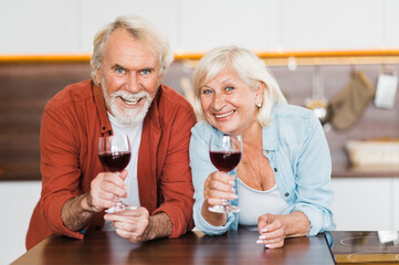 Happy together. Caucasian elderly couple stand in the kitchen with wine in their hands and look at the camera smiling