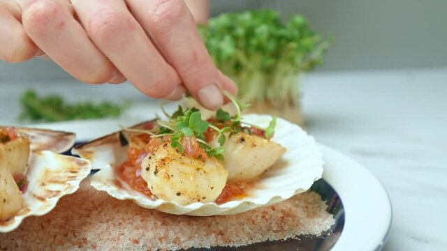 Close-up of decorating with fresh green cresses freshly made Seared Scallops. Concept of a woman's chef hand arranging cress on top of seafood in a seashell in slow motion in 4K.