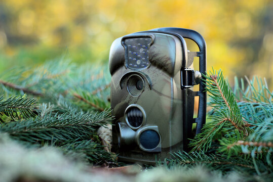 Advertising photo of Trap or Trail Camera With Infrared Light and a motion detector on the Forest Floor