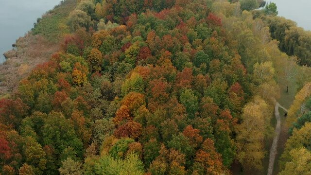 Kanyavari island at the  little-Balaton lake Hungary. Amazing fall mood in a nature reserved area. There is an Iconic bridge and beautiful forest 